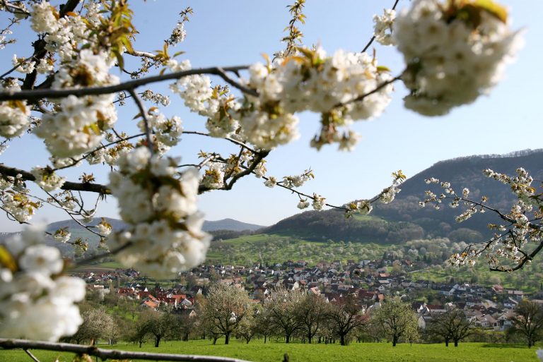 Kommunalpolitischer Spaziergang durch Glems