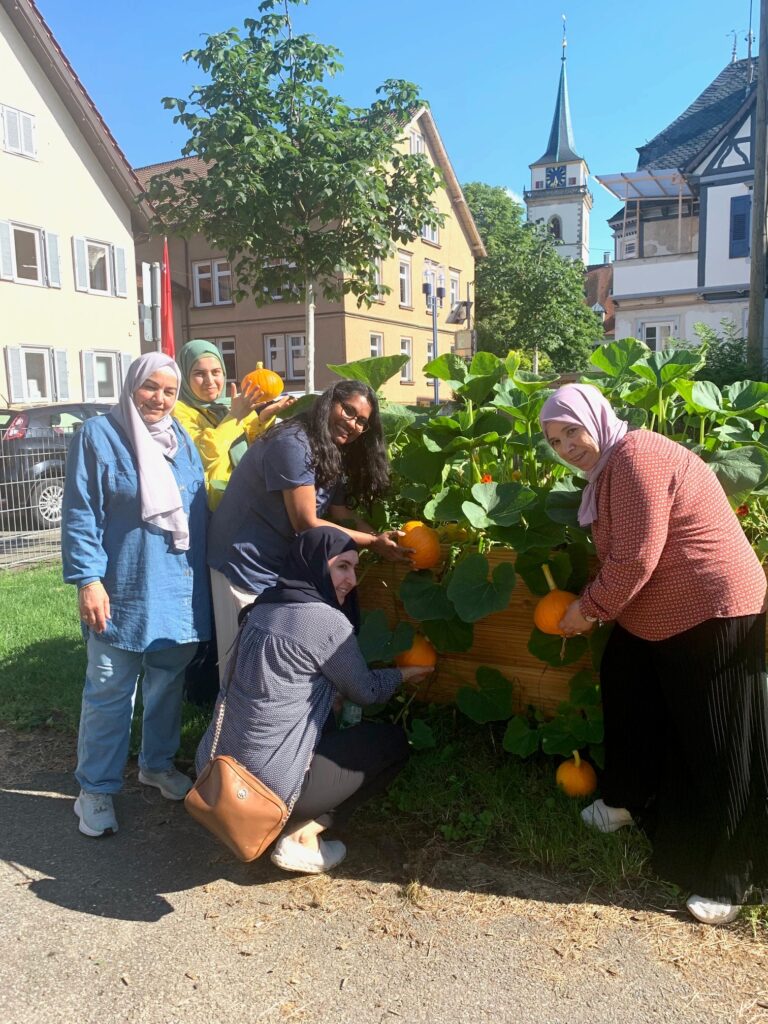 Urban Gardenining – Hochbeet blüht endlich!